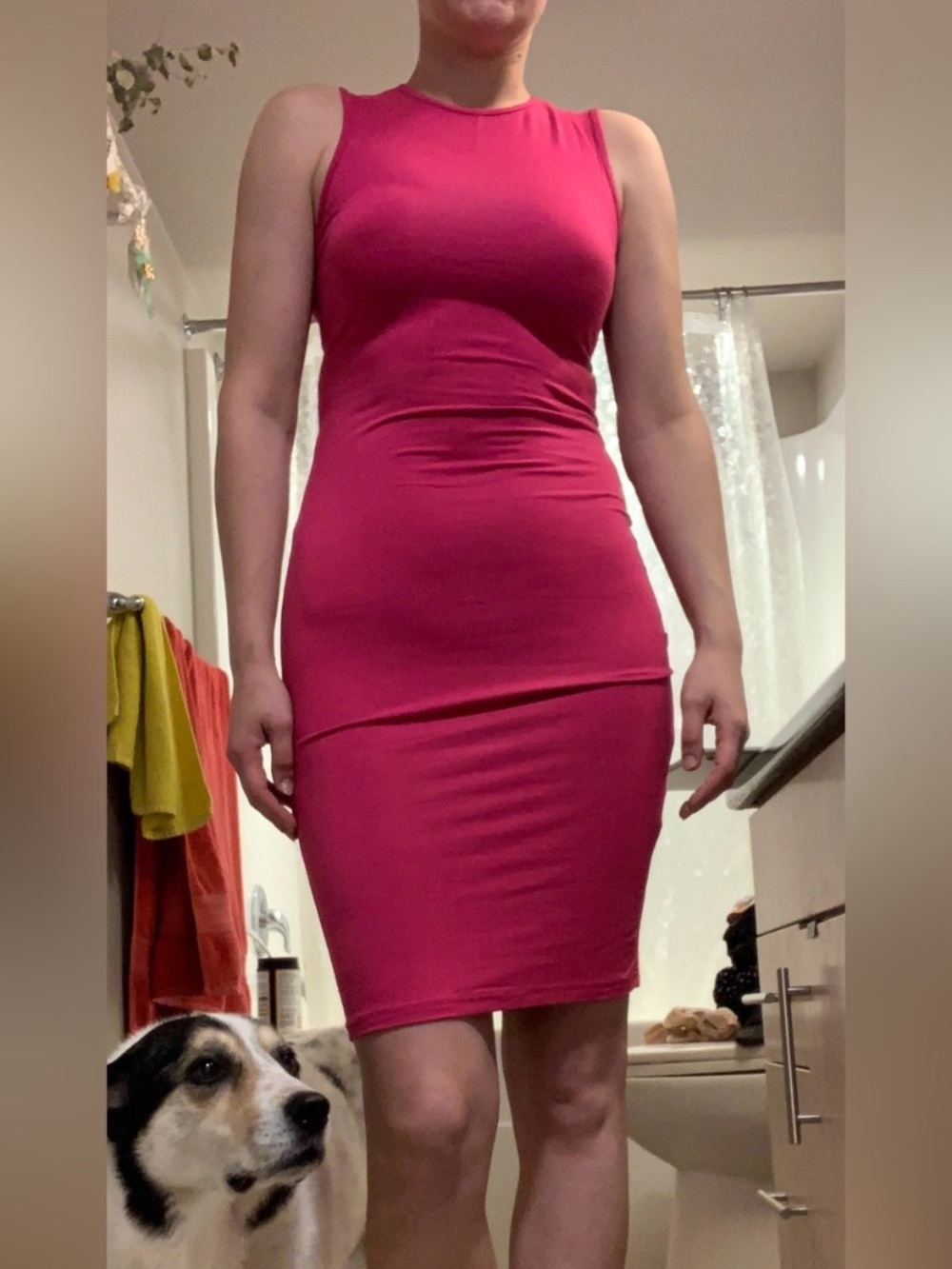 SHEIN Pink Midi Dress